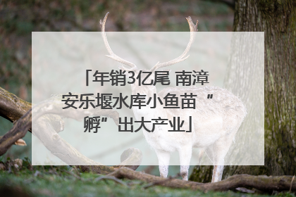 年销3亿尾 南漳安乐堰水库小鱼苗“孵”出大产业